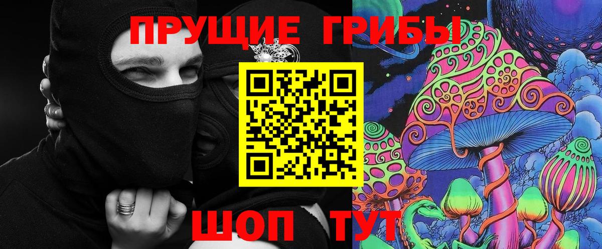 Псилоцибиновые грибы мицелий Лениногорск
